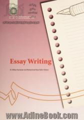 Essay writing