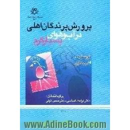 پرورش پرندگان اهلی در آب و هوای بسیار گرم