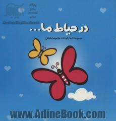 در حیاط ما