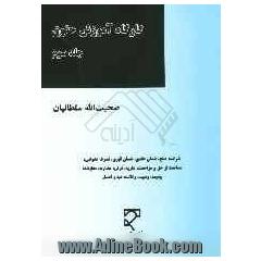 کارگاه آموزش حقوق: پیرامون مهم ترین مباحث حقوقی، آیین دادرسی مدنی و اسناد تجاری