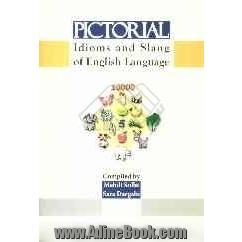 Pictorial idioms and slang of English language: teaching and learning idioms and slang ...