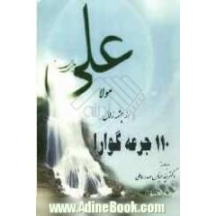 110 (صد و ده) جرعه گوارا از چشمه زلال مولا علی (ع)