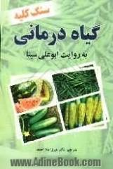 گیاه درمانی: درمان سنگ کلیه به روایت ابوعلی سینا