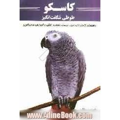 کاسکو طوطی شگفت انگیز: راهنمای کامل نگهداری، تربیت، تغذیه، تکثیر و آموزش سخن گویی