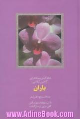 باران: منتخب پنج دفتر شعر: باران، نهفته، مهر و کین، گلی برای تو و بازگشت