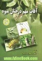 آفات مهم درختان میوه