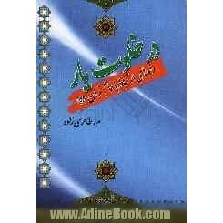 در خلوت یار: راه های ارتباط با امام زمان (عج)