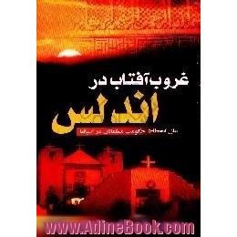 غروب آفتاب در اندلس،  علل سقوط حکومت مسلمانان در شبه جزیره اسپانیا