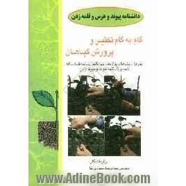 راهنمای گام به گام تکثیر گیاهان (بذرها، ریشه ها، پیازها و پداژه ها، خوابانیدن شاخه، قلمه ساقه، قلمه برگ، قلمه جوانه و پیوندزدن)