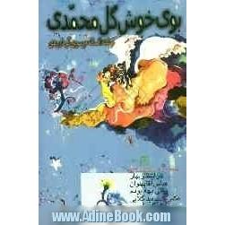 بوی خوش گل محمدی