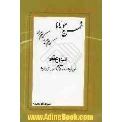 شمس یا مولانا  کدام مرید کدام مراد: تطبیق مثنوی معنوی با مقالات شمس تبریزی