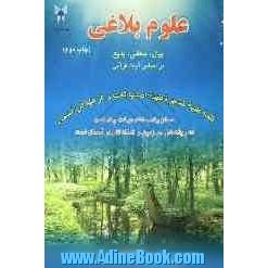 علوم بلاغی: بیان، معانی، بدیع بر اساس آیات قرآنی