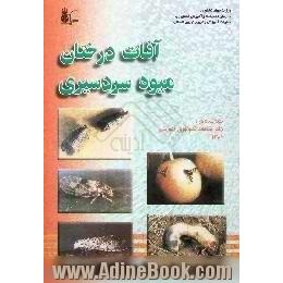 آفات درختان میوه سردسیری