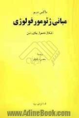 اشکال ناهمواریهای زمین: مبانی ژئومورفولوژی