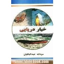 خیار دریایی