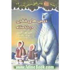 خانه درختی سحرآمیز: خرس های قطبی در شامگاه