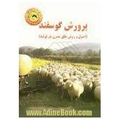 پرورش گوسفند (اصول و روشهای مدرن در تولید)