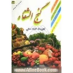 گنج الشفاء: تجربیات اطباء سنتی: 40 گیاه داروئی، ویتامین ها و مواد معدنی، فواید خوراکی ها در بیماریها، شامل: علل - علائم و درمان بیماریها با دار