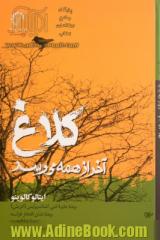 کلاغ آخر از همه می رسد