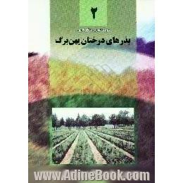 بذرهای درختان پهن برگ،  ترم اول،  آموزشهای فنی و حرفه ای رسمی رشته تولید نهال و جنگل کاری