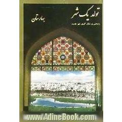 تولد یک شهر: پژوهشی بر شکل گیری شهر جدید بهارستان