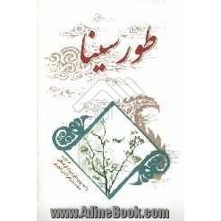 طور سینا (مجموعه سخنرانی اخلاقی، عرفانی از اساتید حوزه علمیه در طول سالهای 1380-1370 در بنیاد فرهنگی حضرت زهرا تبریز)