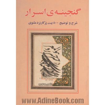 گنجینه ی اسرار: شرح و توضیح 800 بیت پرکاربرد مثنوی