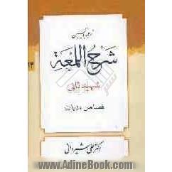 ترجمه و تبیین شرح اللمعه: قصاص و دیات