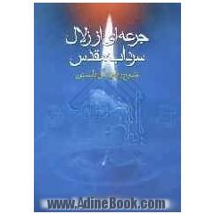 جرعه ای از زلال سرداب مقدس: شرح زیارت آل یاسین