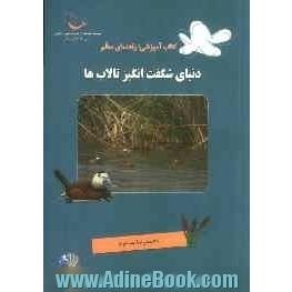 دنیای شگفت انگیز تالاب ها: ویژه معلمان برای آموزش کودکان و نوجوانان (9 تا 12 سال)