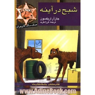 شبح در آینه