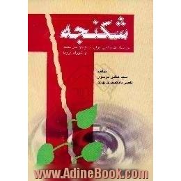 شکنجه،  در سیاست جنایی ایران،  سازمان ملل متحد و شورای اروپا