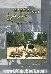 پرورش و بیماریهای شترمرغ و سایر شترمرغ سانان