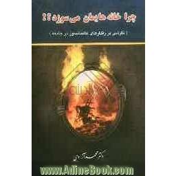 چرا خانه هایمان می سوزد 