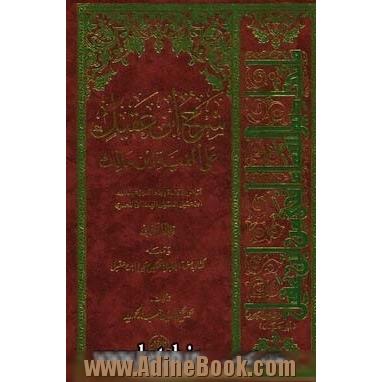 شرح ابن عقیل علی الالفیه ابن مالک جلد 3 و 4