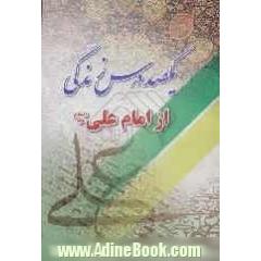 یکصد درس زندگی از امام علی (ع)