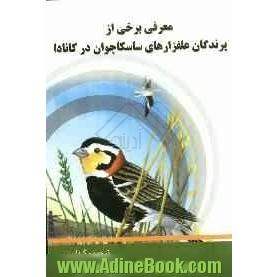 معرفی برخی از پرندگان علفزارهای ساسکاچوان در کانادا