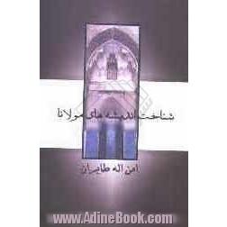 مجموعه مقالات بررسی اندیشه ی مولانا جلال الدین محمد بلخی در مثنوی معنوی