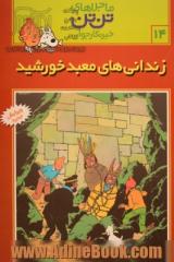 ماجراهای تن تن 14: زندانی های معبد خورشید
