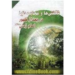 شگفتی ها و عجایب دنیا در بعد از ظهور امام زمان (ع) به همراه اوصاف و ویژگی های خاص آن حضرت