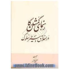 رهنمای گمشدگان در تزکیه نفس و مراحل سیر و سلوک