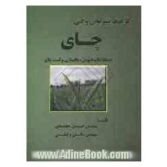 چای: اصطلاحات عمومی، چایسازی و تست چای (انگلیسی - فارسی)