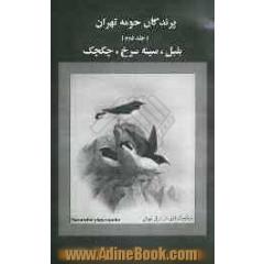 پرندگان حومه تهران: بلبل، سینه سرخ، چکچک