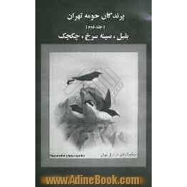 پرندگان حومه تهران: بلبل، سینه سرخ، چکچک