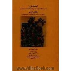 اصحاب نور (تفسیر صوفیانه داستان خضر و موسی)، مظاهر انوار (سخنی چند در تقسیم عوالم)