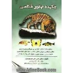 چکیده جانورشناسی =Zoology a short version قابل استفاده برای دانشجویان دوره های کارشناسی و کارشناسی ارشد علوم زیستی،علوم جانوری