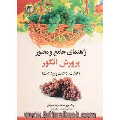 راهنمای جامع و مصور پرورش انگور (کاشت، داشت و برداشت)