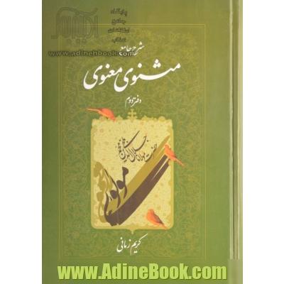 شرح جامع مثنوی معنوی - جلد دوم