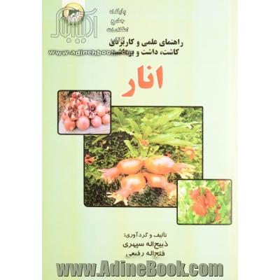 راهنمای کاربردی کاشت، داشت و برداشت انار