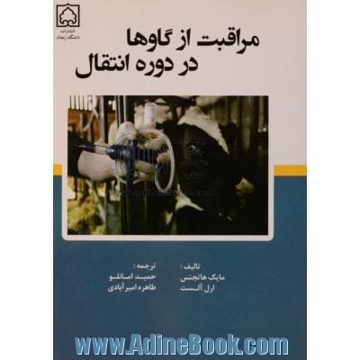 مراقبت از گاوها در دوره انتقال